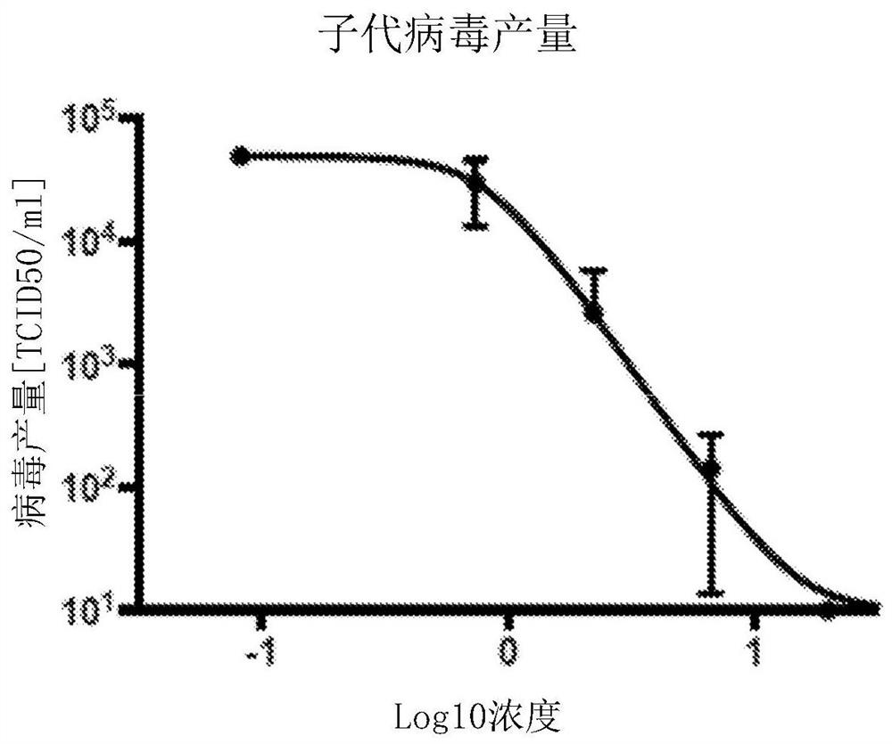 Bicyclic fused pyrazole derivatives for the treatment of rsv