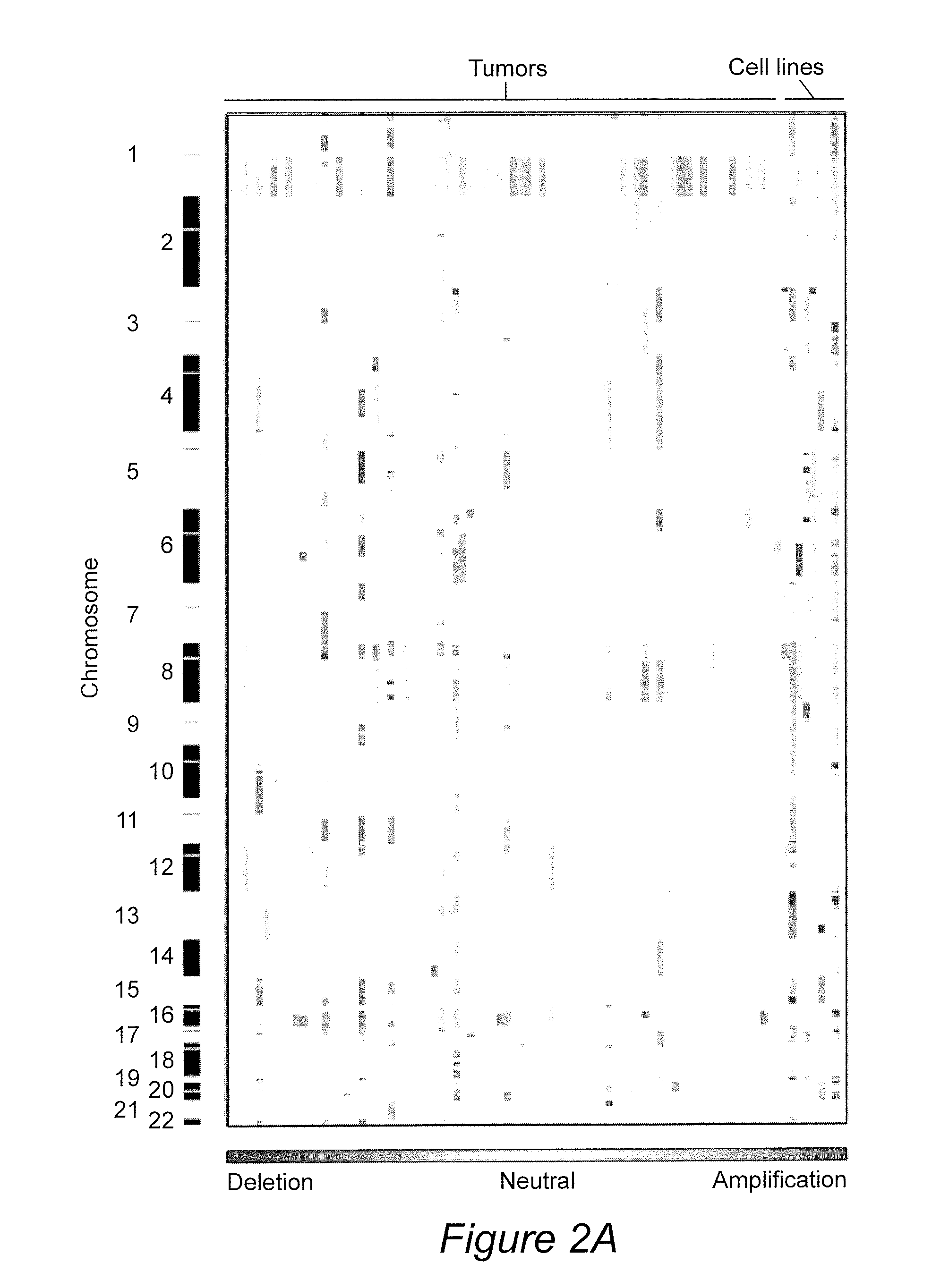 Prognostic Marker for Endometrial Carcinoma