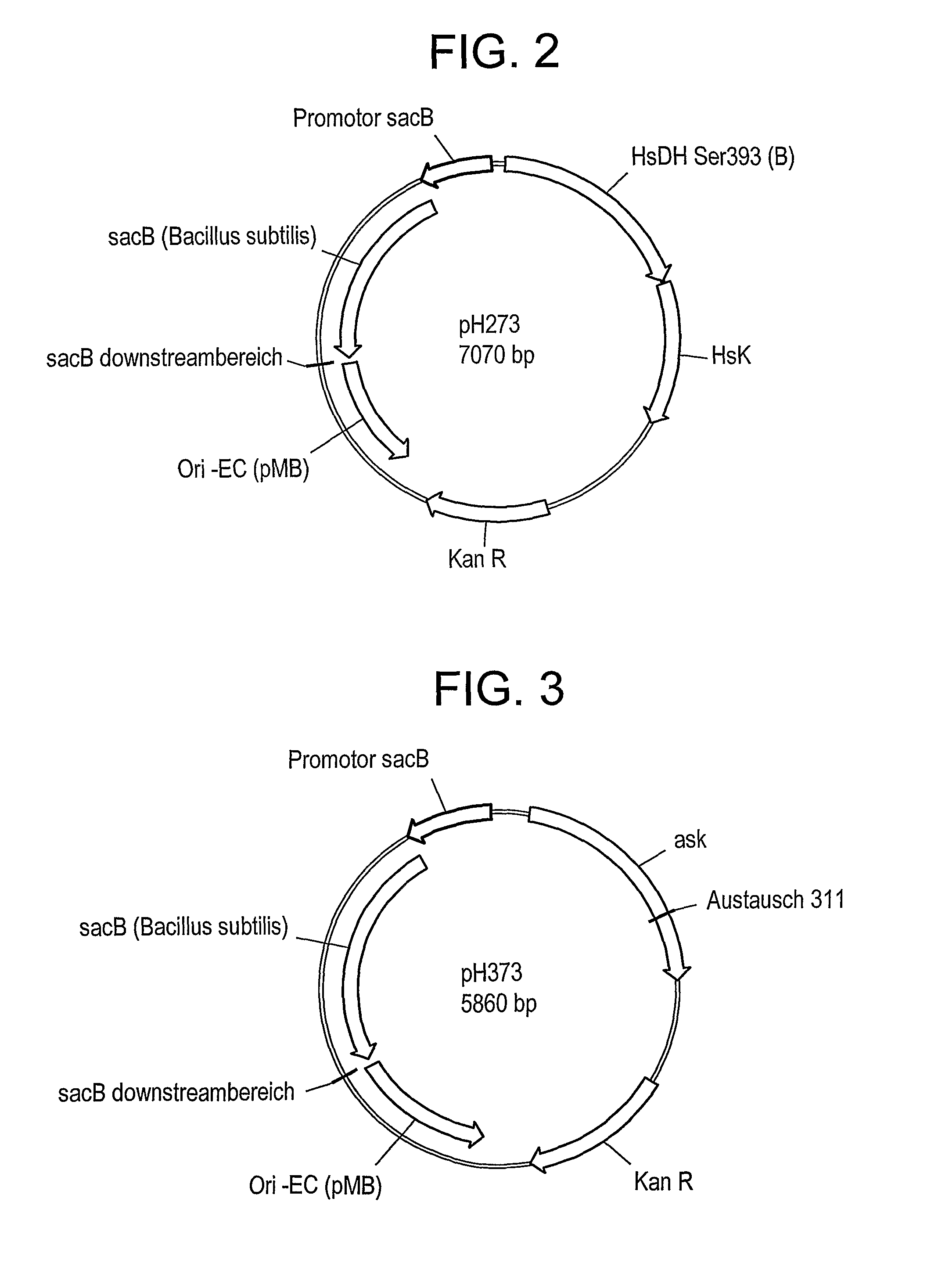 Use of dimethyl disulfide for methionine production in microoraganisms