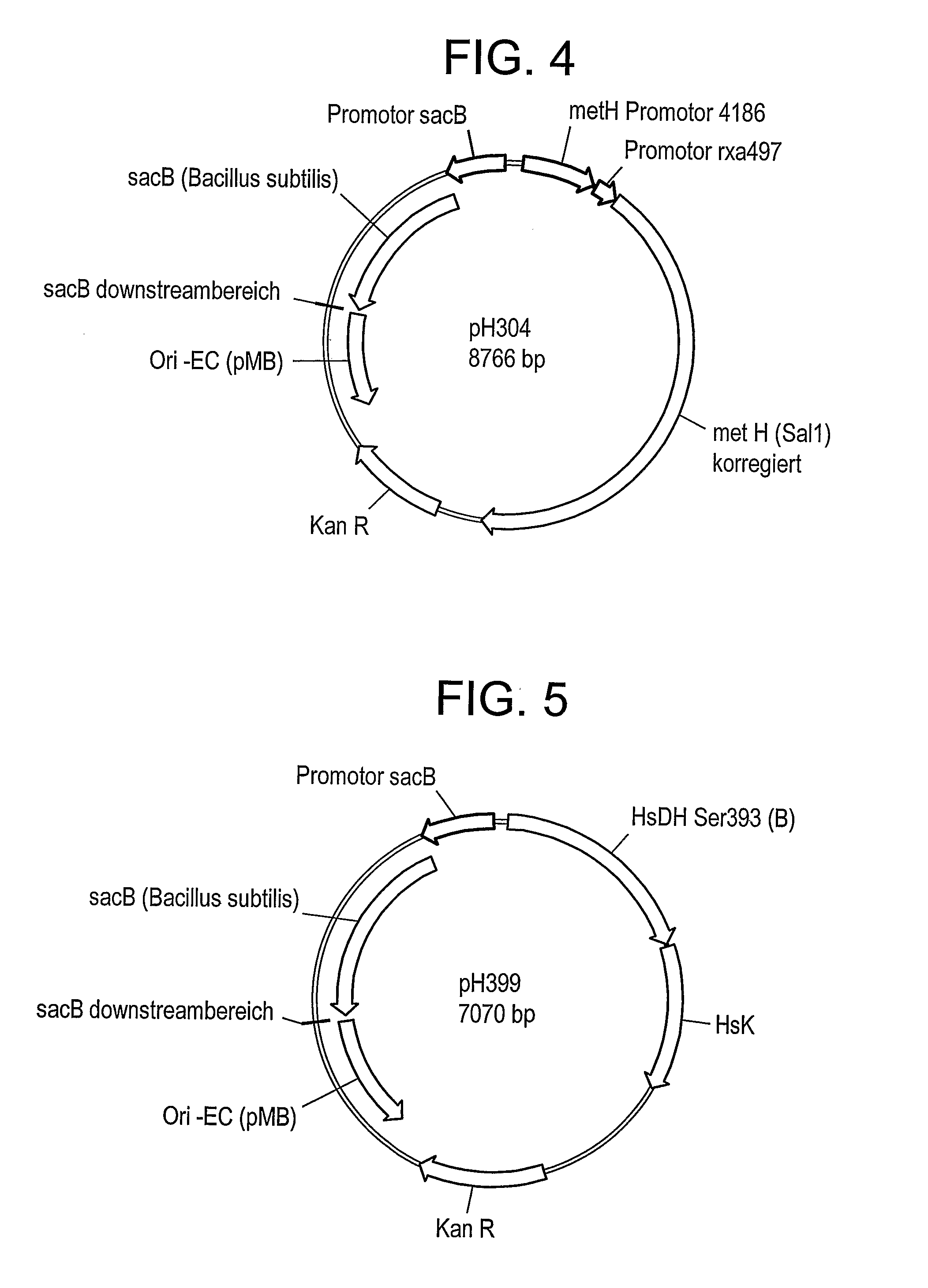 Use of dimethyl disulfide for methionine production in microoraganisms