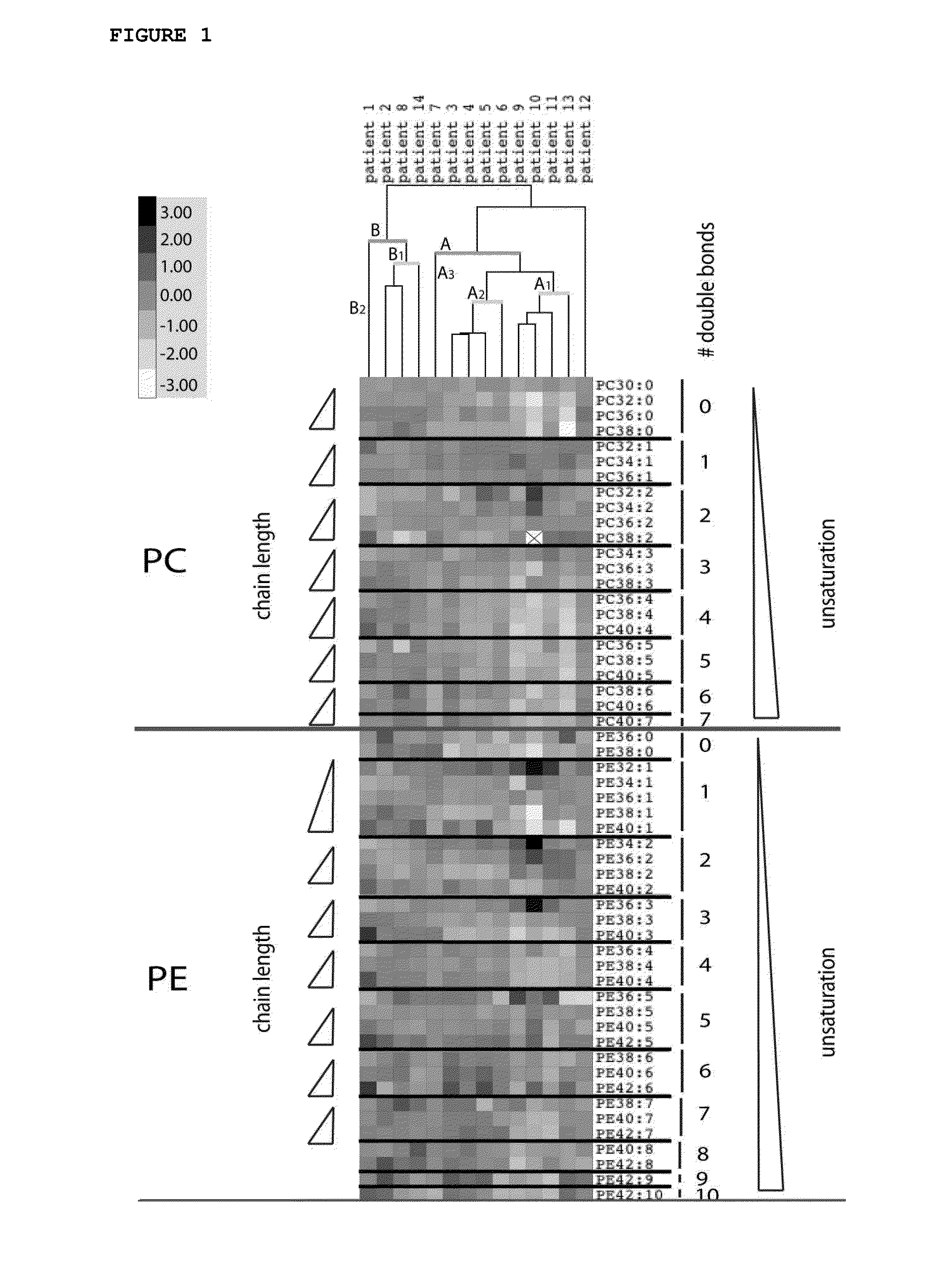 Cancer phospholipidome