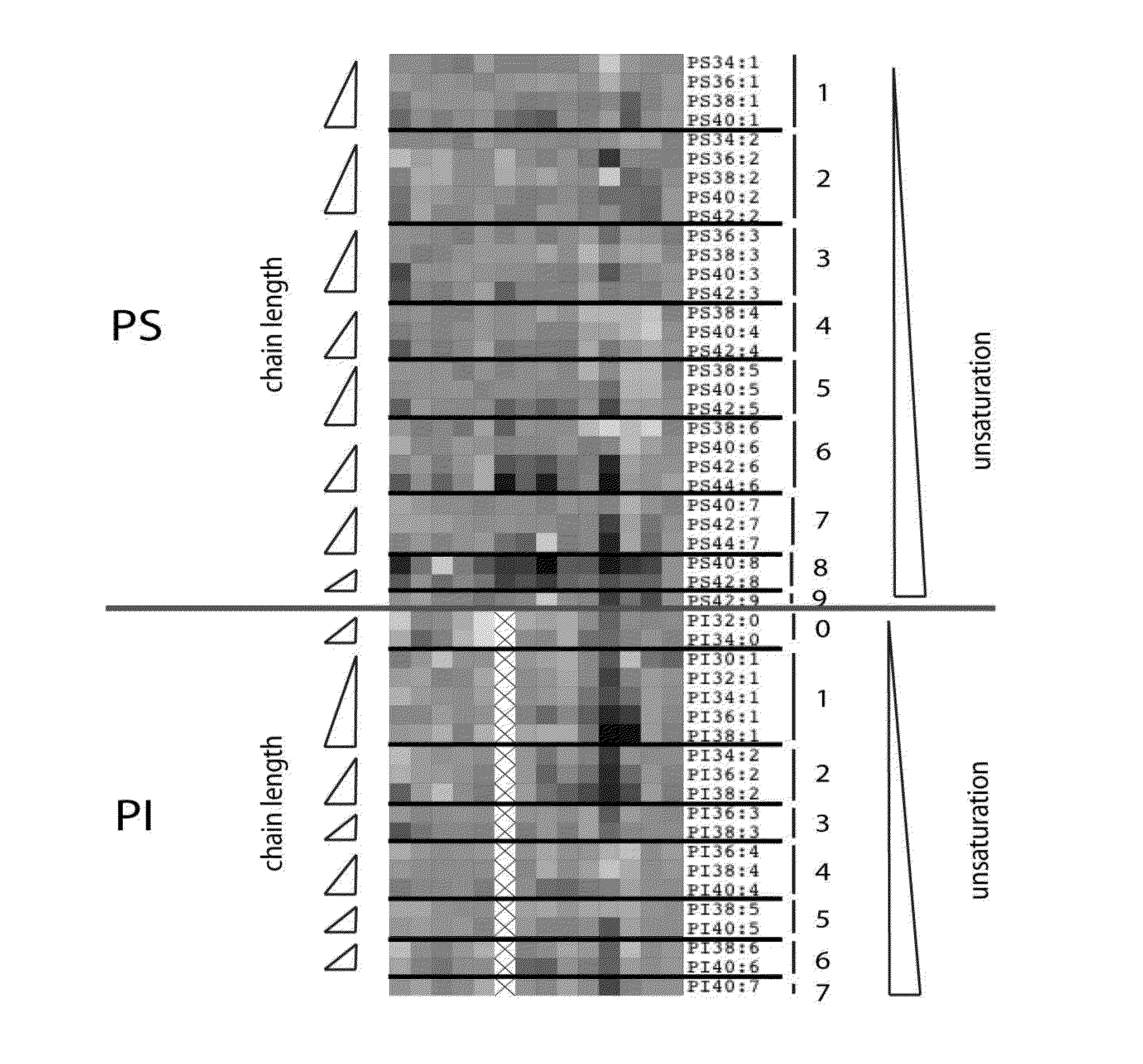 Cancer phospholipidome