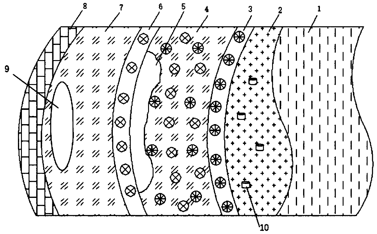 Plant buffering belt structure for improving ecological diversity and construction method thereof