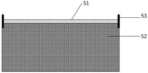 Plant buffering belt structure for improving ecological diversity and construction method thereof