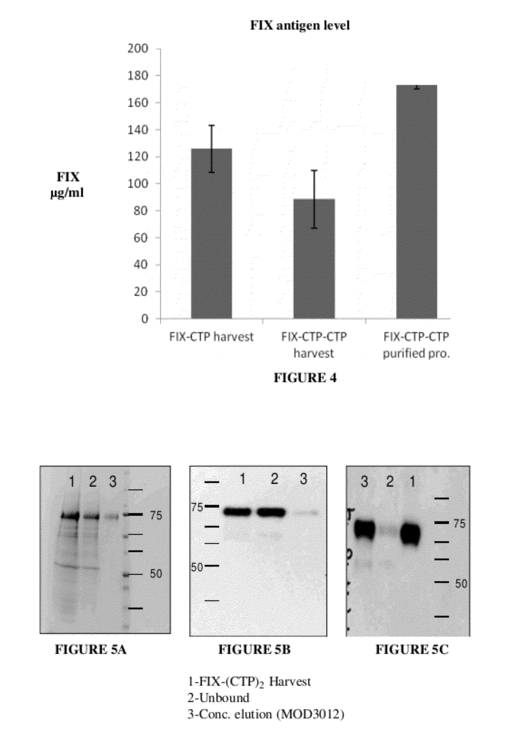 Long-acting coagulation factors and methods of producing same