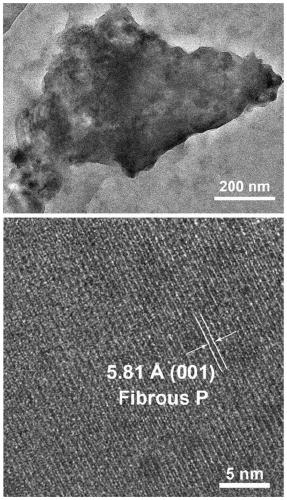 Preparation method of red phosphorus-zinc oxide heterojunction film for rapid photocatalytic sterilization