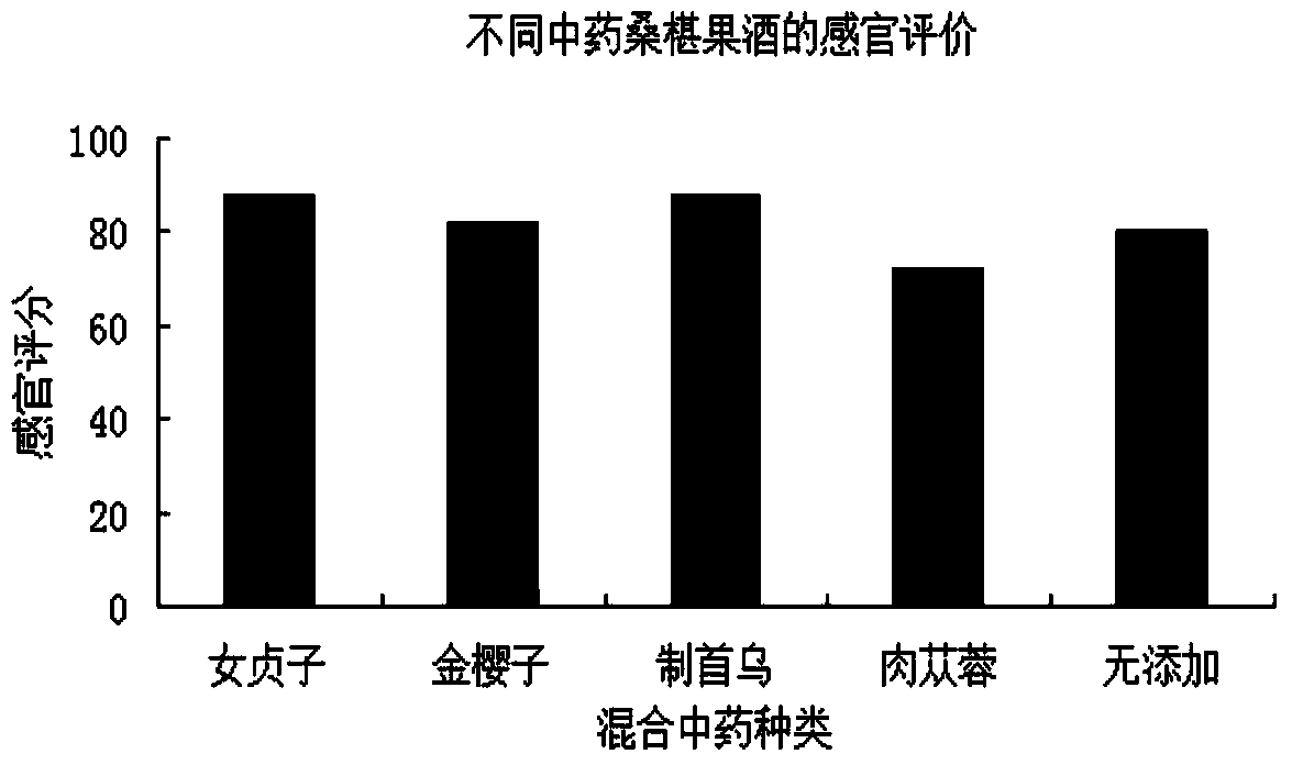 Chinese medicinal mulberry fruit wine and preparation method thereof