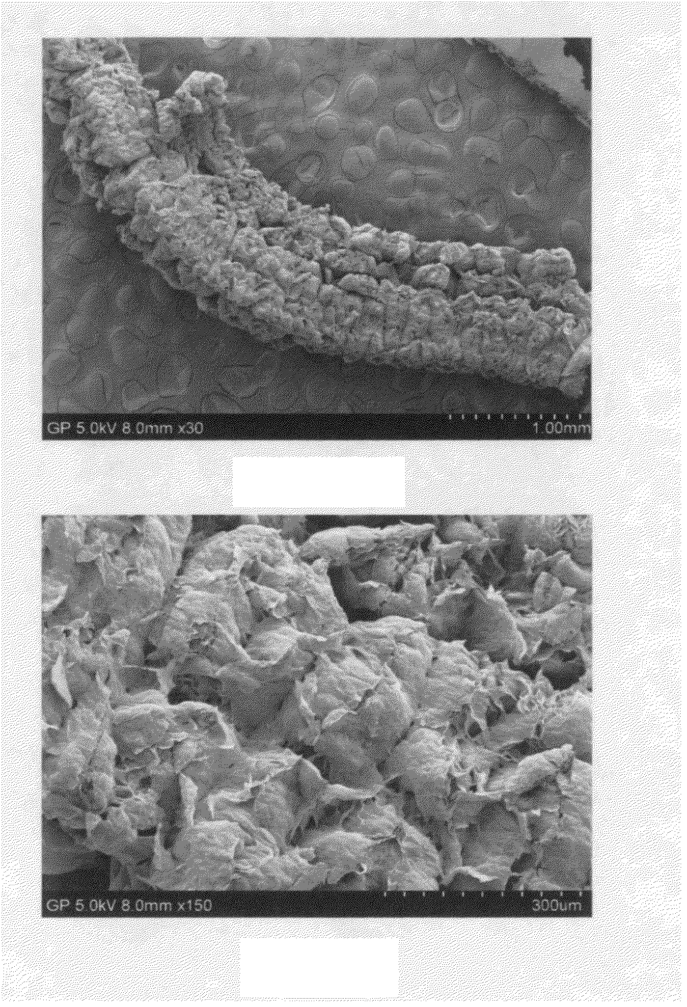 Rechargeable lithium-sulfur battery having a high capacity and long cycle life