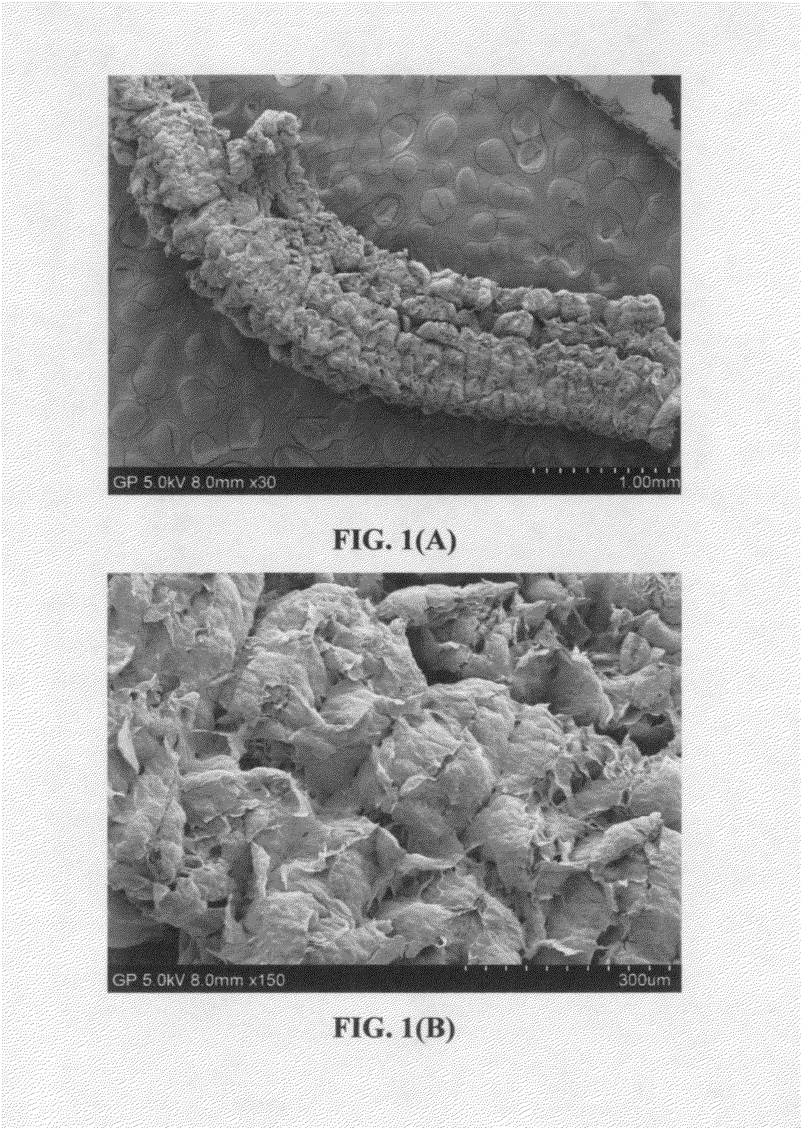 Rechargeable lithium-sulfur battery having a high capacity and long cycle life