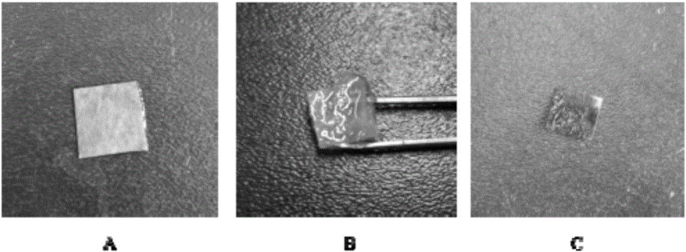 Antibacterial non-woven fabric, and preparation method and application thereof