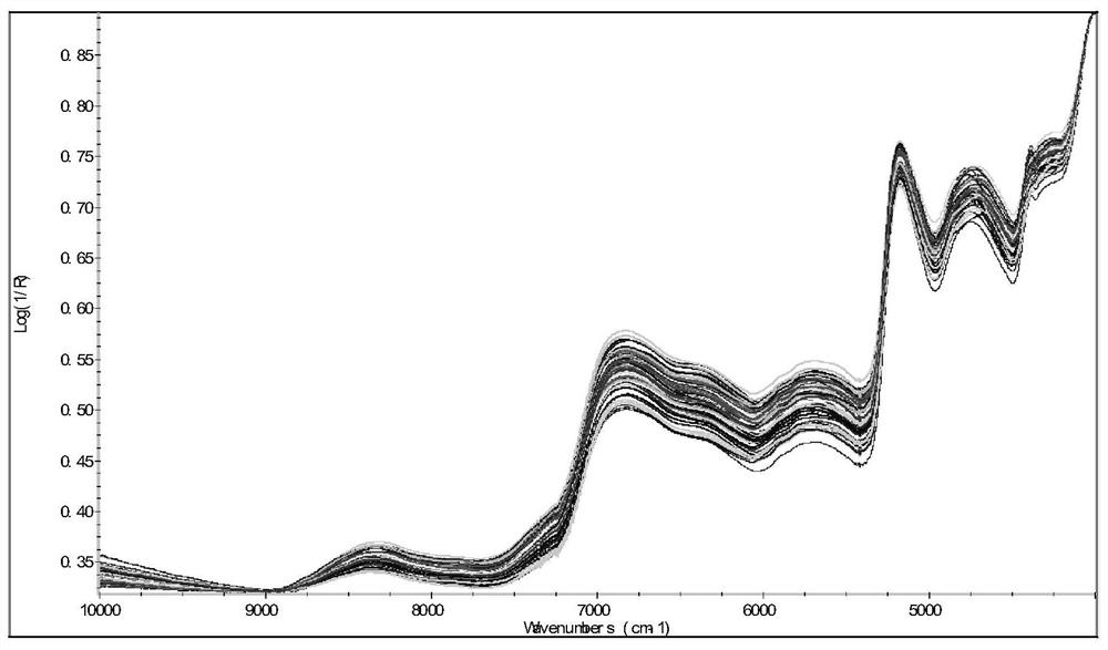 A method for establishing the quality classification of Danshen decoction pieces by using near-infrared technology