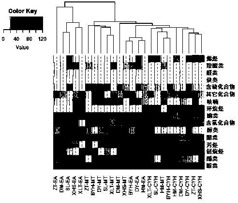 Stoichiometric analysis method for coal soluble organic matter