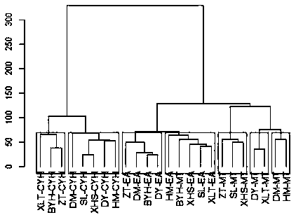 Stoichiometric analysis method for coal soluble organic matter