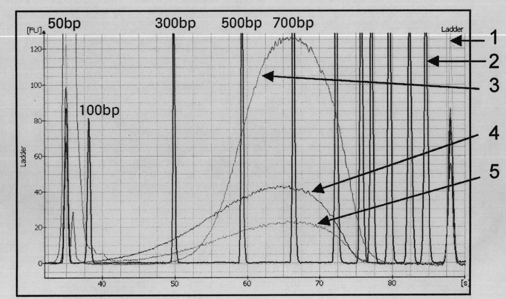 Asymmetric deoxyribose nucleic acid (DNA) artificial adapters by using second-generation high-throughput sequencing technology and application thereof