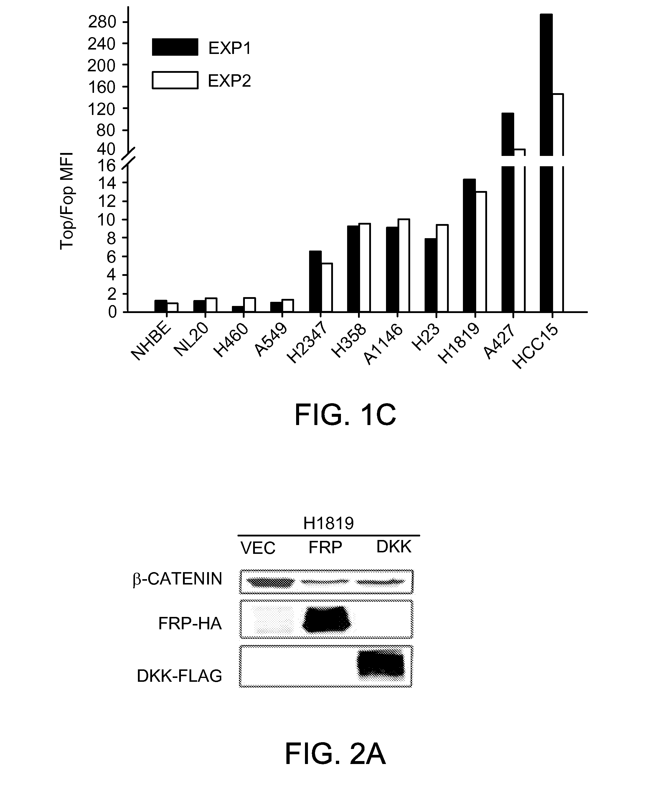 Methods of determining whether the wnt signaling pathway is upregulated in a tumor