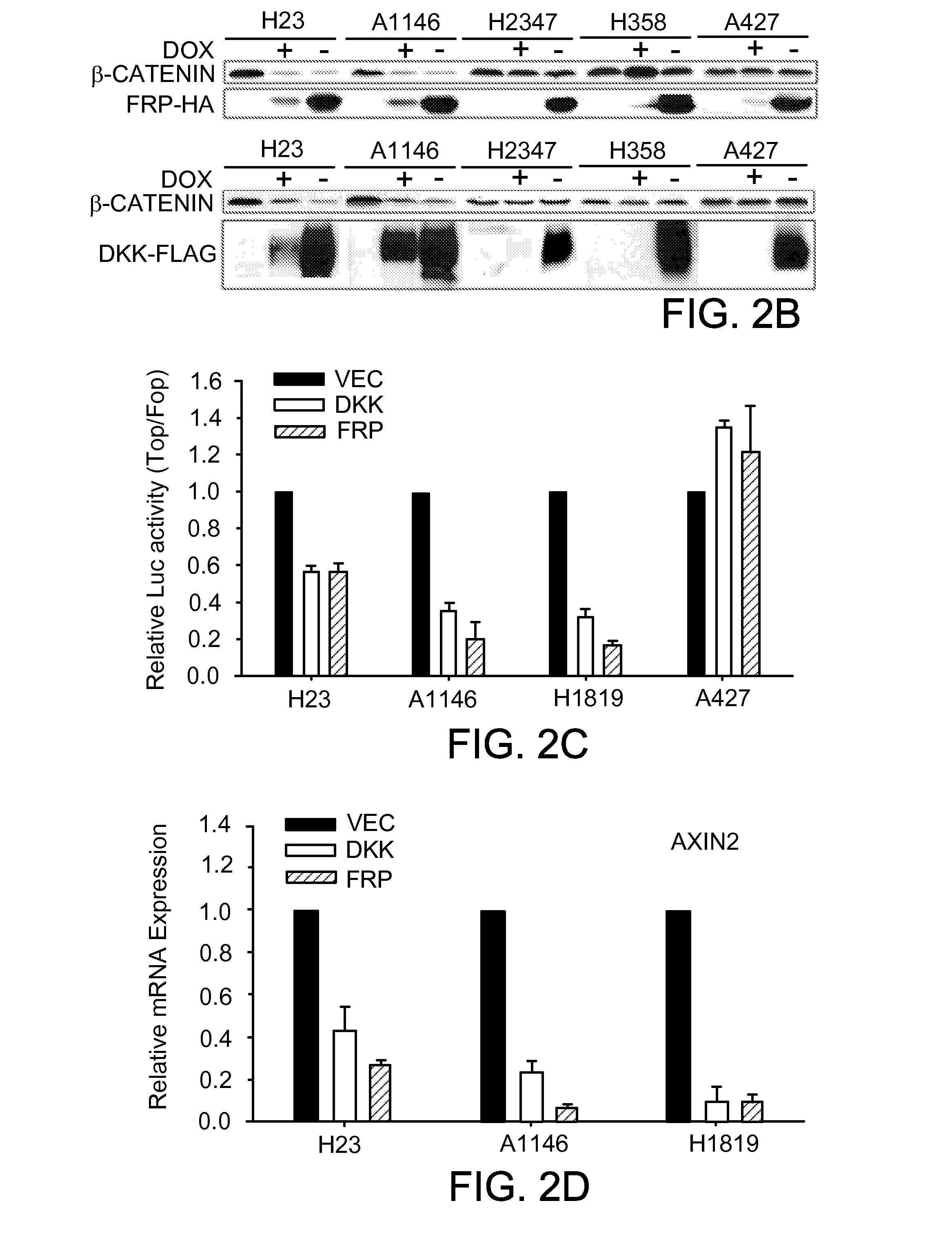 Methods of determining whether the wnt signaling pathway is upregulated in a tumor