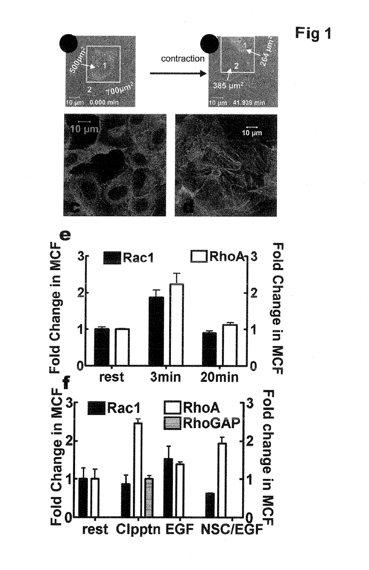 Activated GTPase-Based Assays and Kits for the Diagnosis of Sepsis and Other Infections