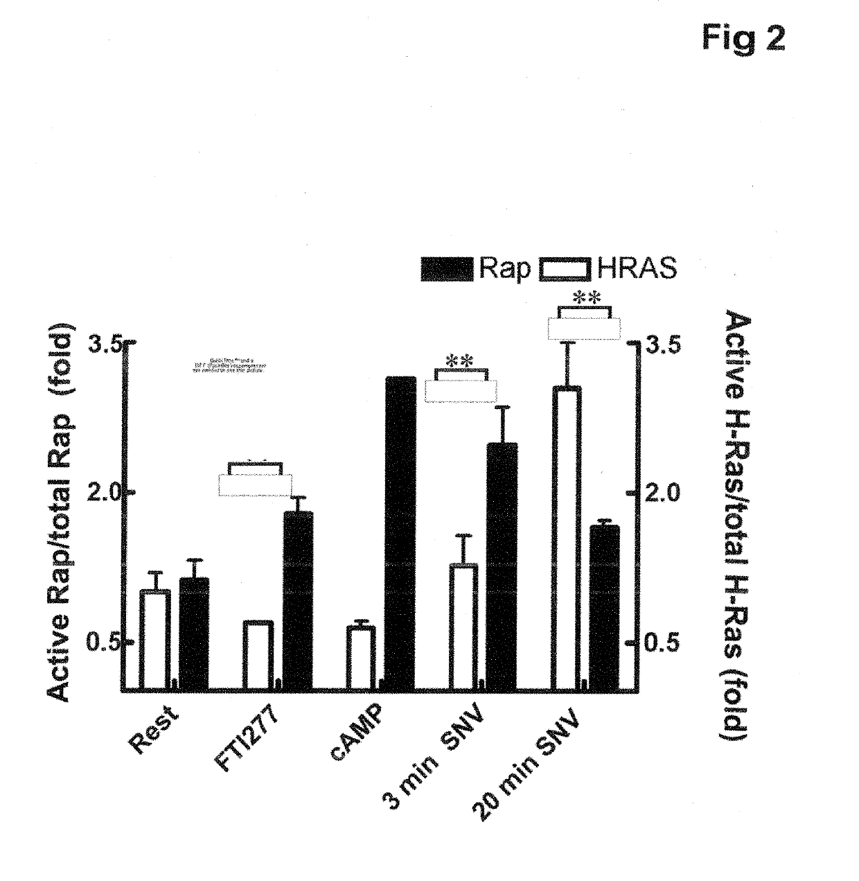 Activated GTPase-Based Assays and Kits for the Diagnosis of Sepsis and Other Infections