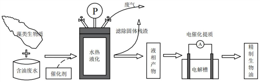 A method of electrocatalysis and algae participating in the utilization of oily wastewater