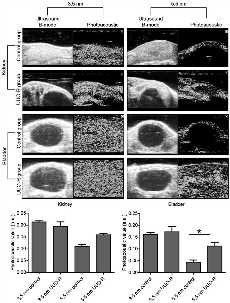 Application of nano-gold probe in preparation of early diagnosis reagent for kidney injury