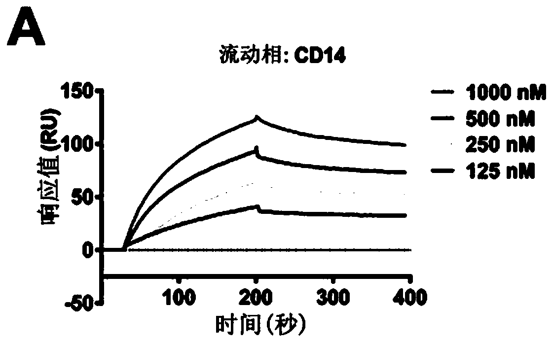 Application of transferrin in preparing immunosuppressant medicines