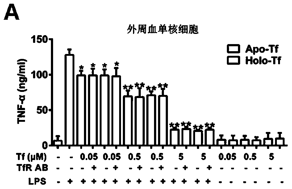 Application of transferrin in preparing immunosuppressant medicines