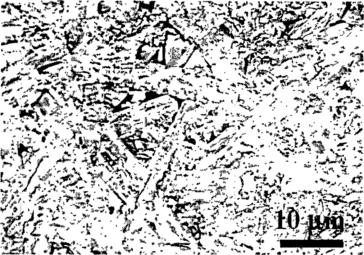 Method for preparing tantalum-aluminium-carbon ceramic by in-situ heat-pressing/solid-liquid phase reaction