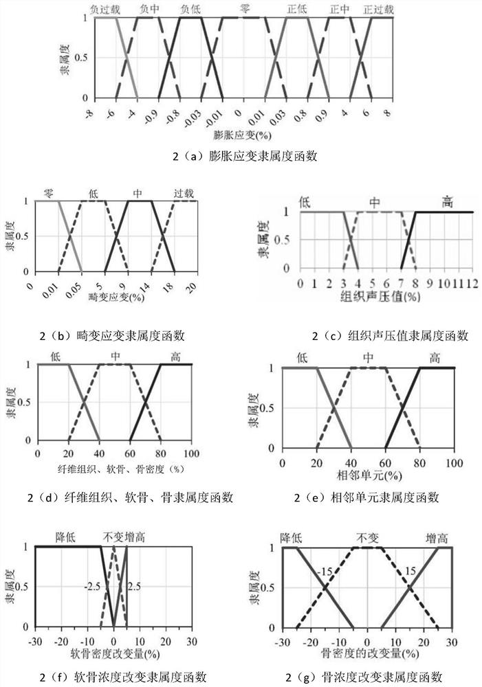 Fracture healing simulation method based on ultrasonic effect and mechanical environment