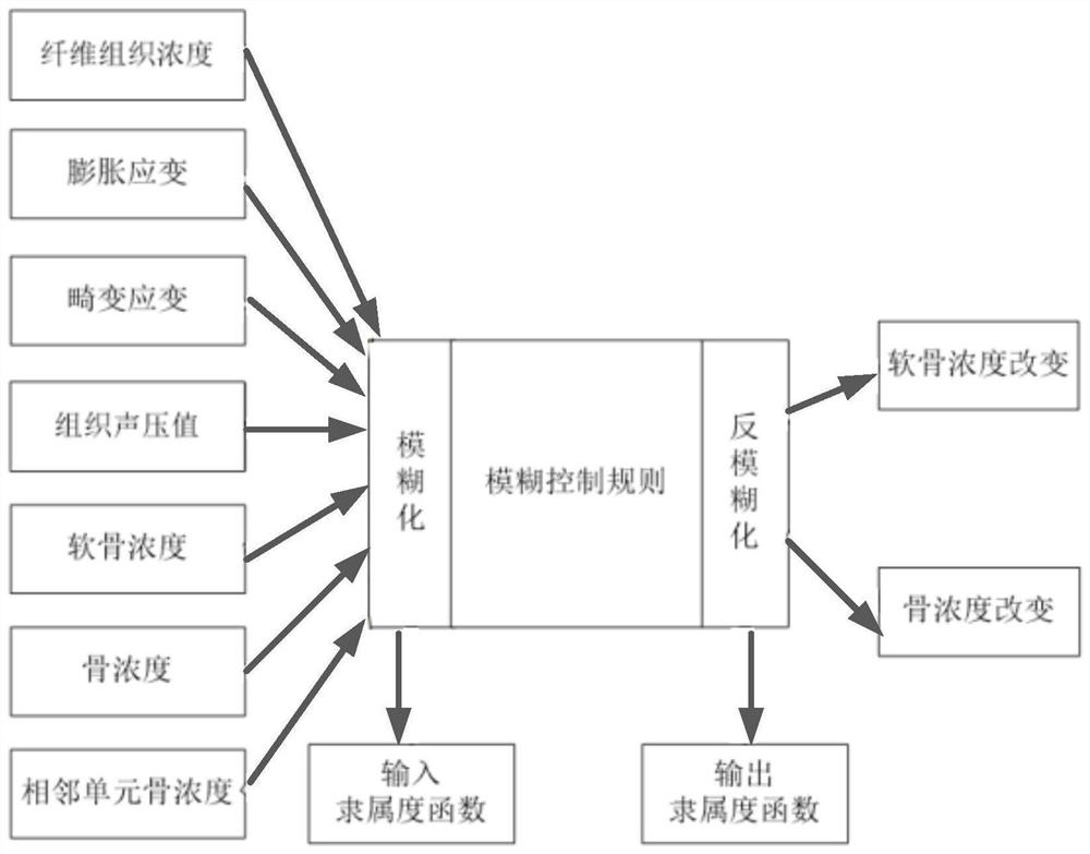 Fracture healing simulation method based on ultrasonic effect and mechanical environment