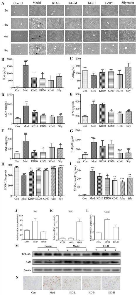 Medicine for treating non-alcoholic steatohepatitis