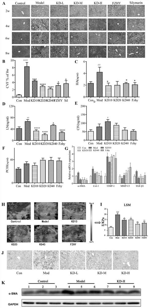 Medicine for treating non-alcoholic steatohepatitis