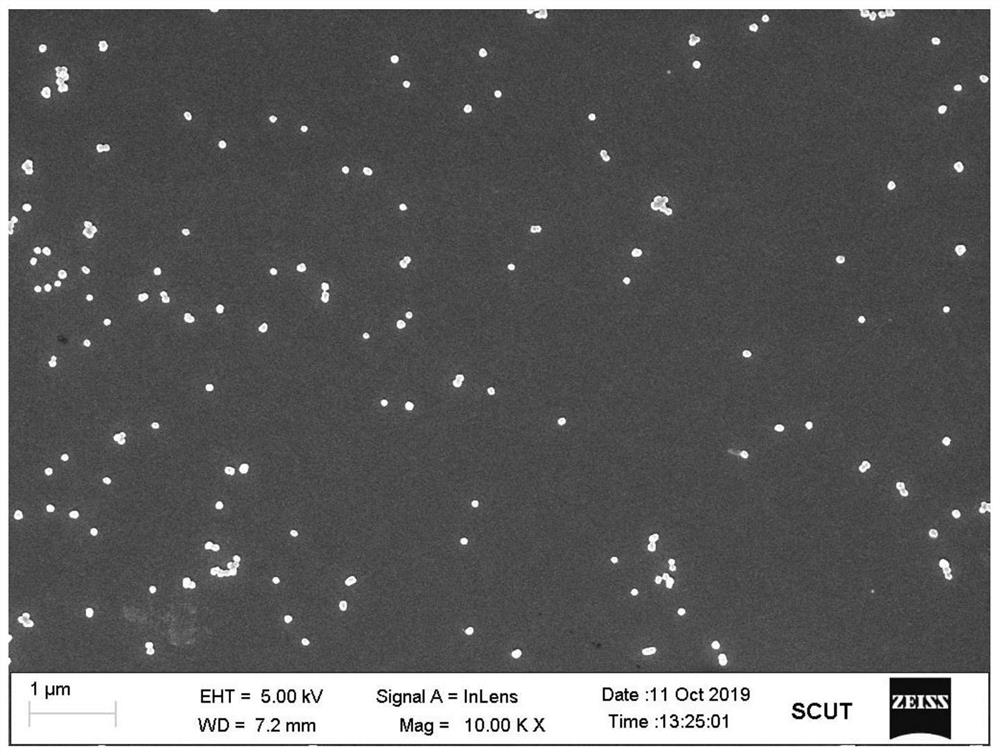 Preparation method of traditional Chinese medicine molecule doped polypyrrole nanoparticles