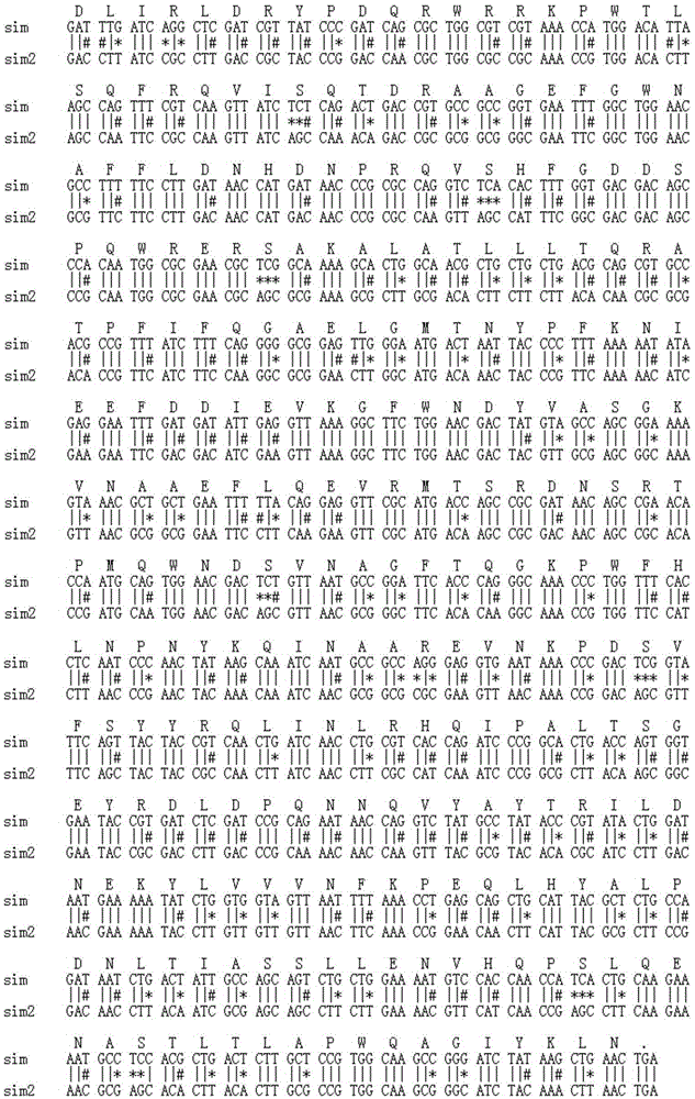 Efficient preparation method and gene engineering bacteria of sucrose isomerase