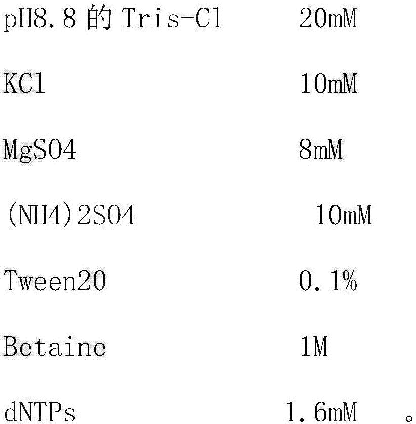 Primers, kit and method for identifying potato M viruses