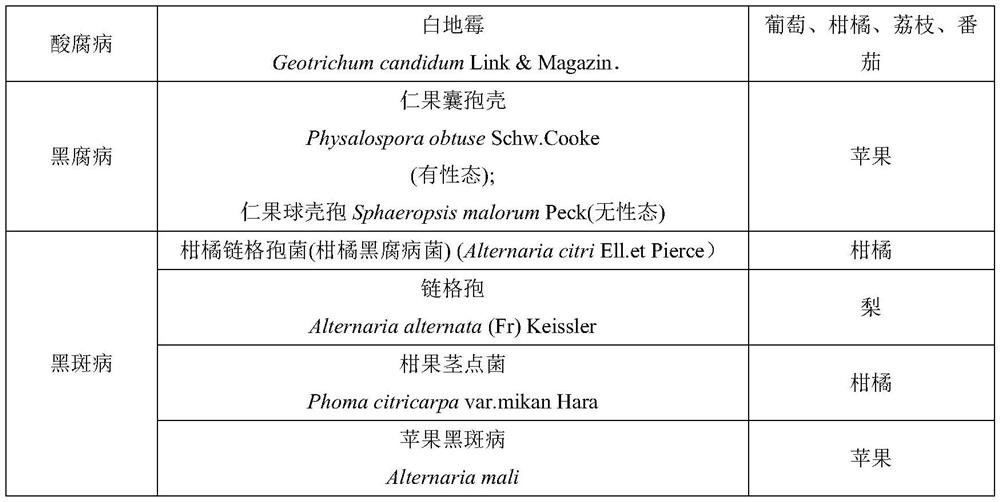 Application of acylated phloroglucinol derivative in preparation of antibacterial agent