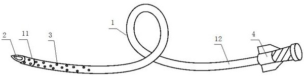 Tunnel flushing and disinfecting catheter for dialysis and using method thereof