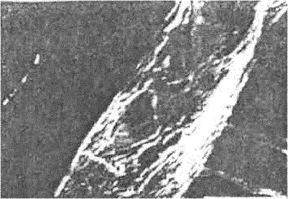 Wood and bamboo fiber mercerizing pulp and preparation method thereof