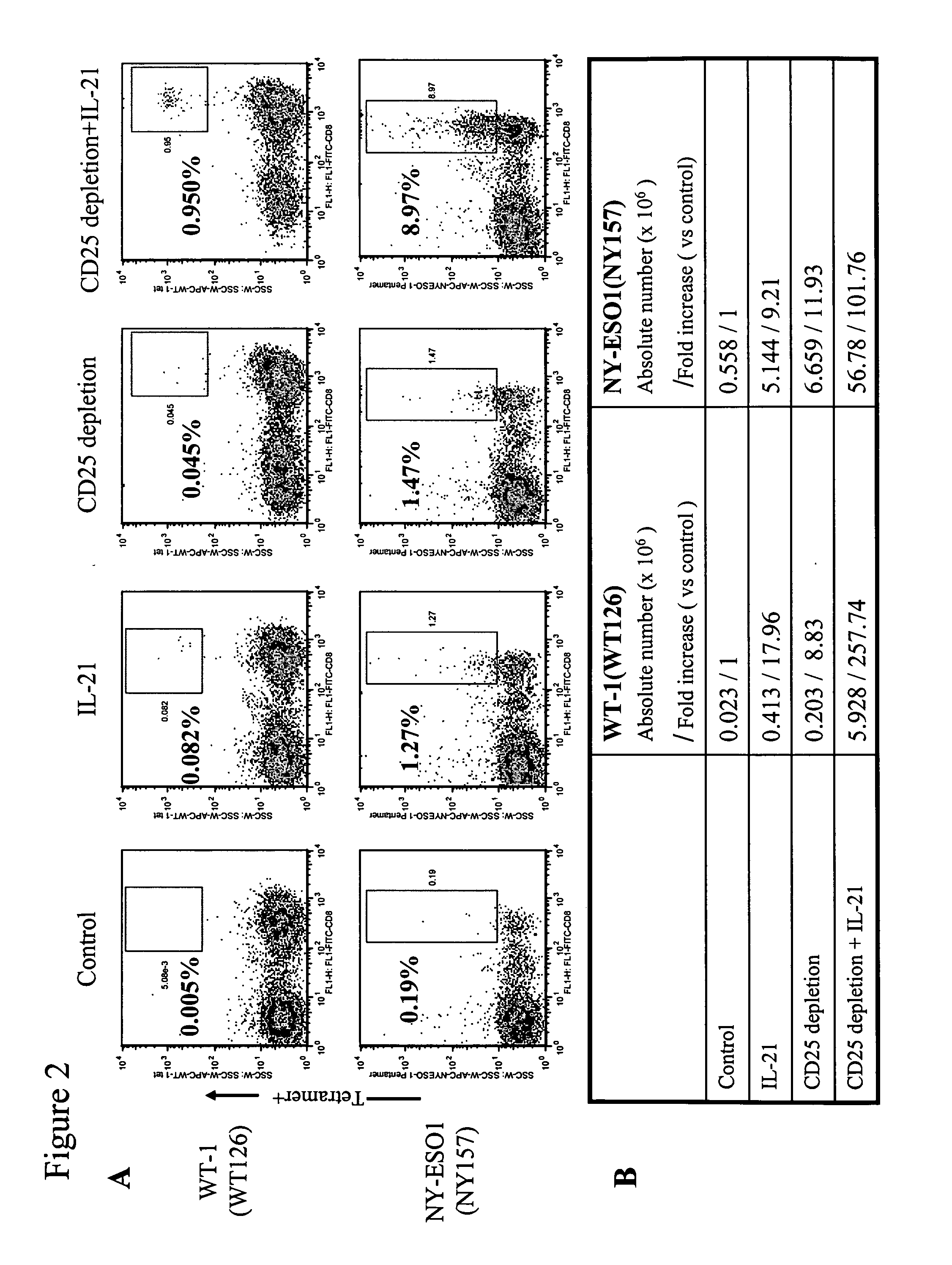 Enhanced generation of cytotoxic t-lymphocytes by il-21 mediated foxp3 suppression