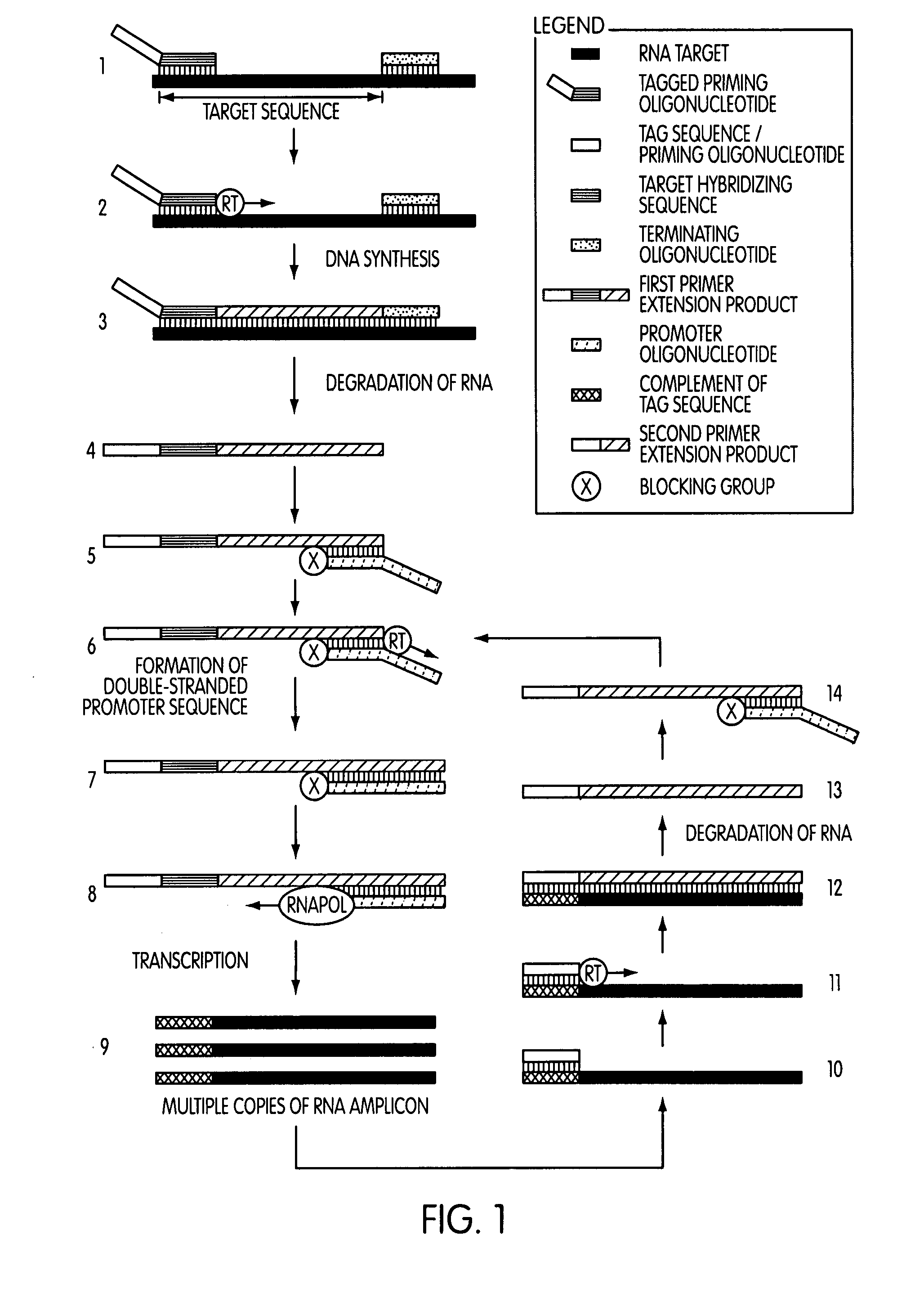 Tagged oligonucleotides and their use in nucleic acid amplification methods