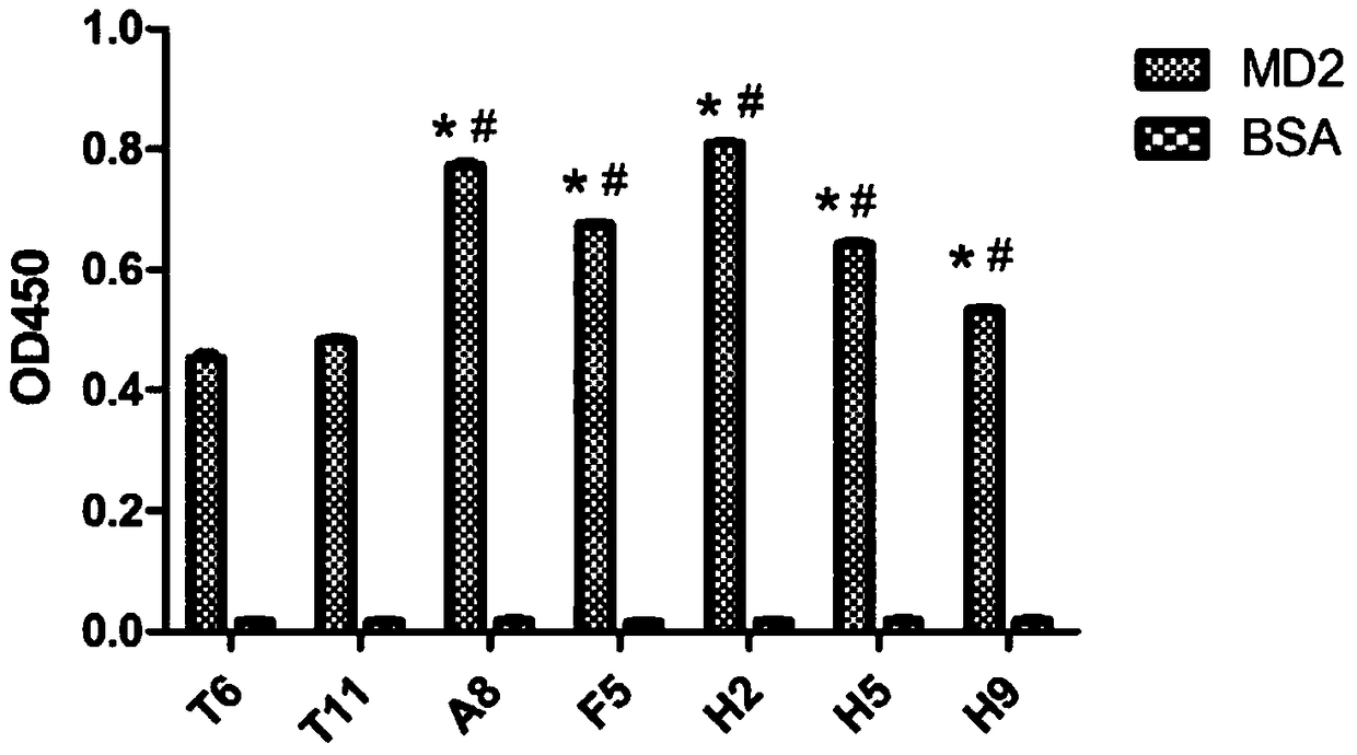 An optimized and highly potent anti-inflammatory peptide targeting md-2