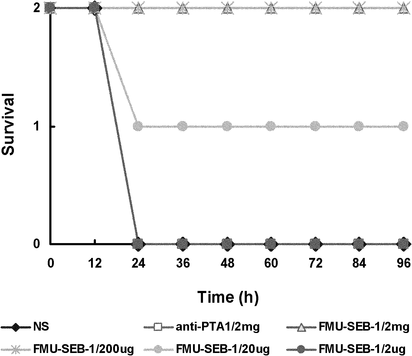 Light chain and heavy chain variable regions of anti-SEB (Staphylococcal Enterotoxin B) monoclonal antibody FMU-SEB-No.1 with high neutralizing activity