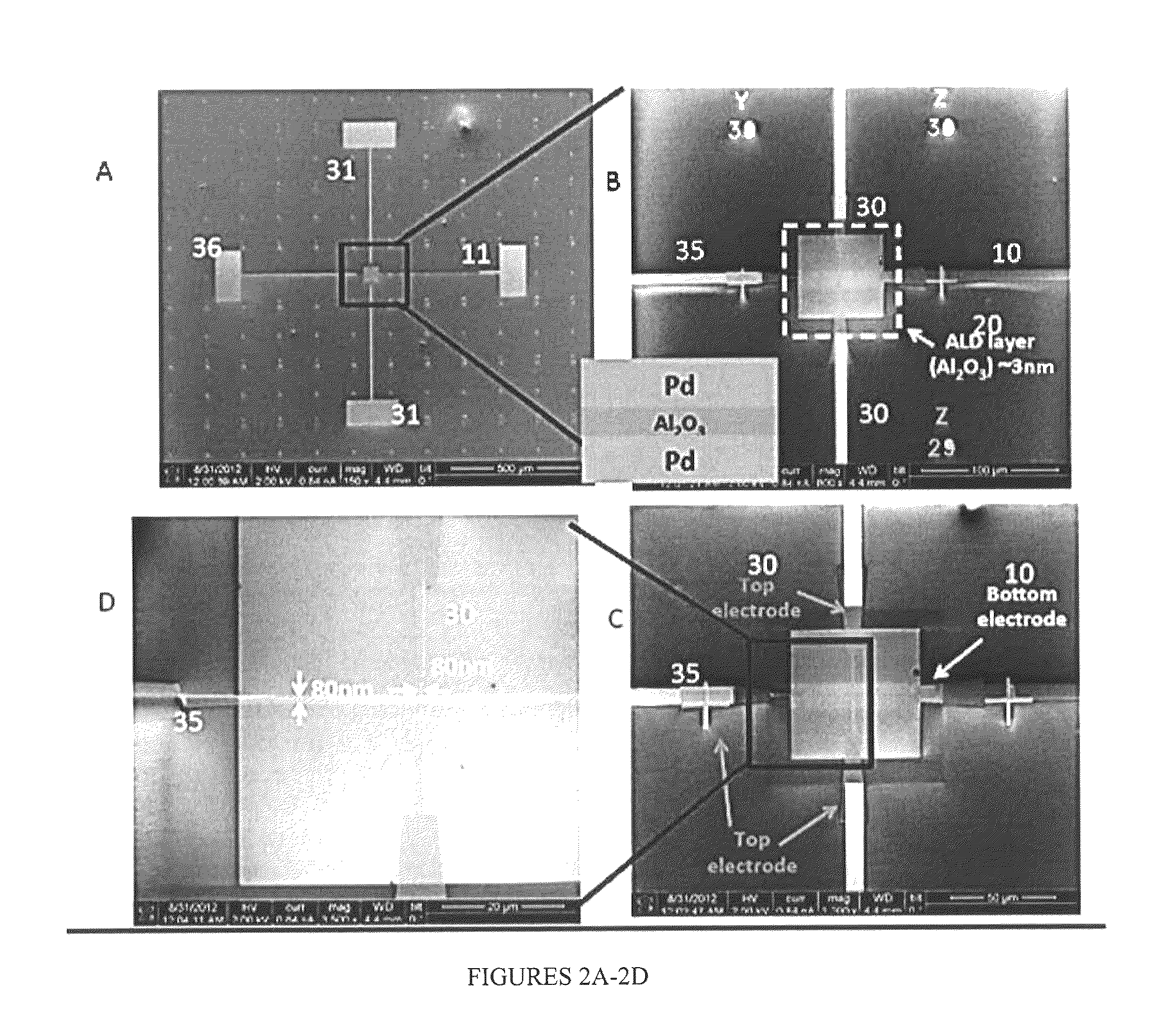 Systems and devices for molecule sensing and method of manufacturing thereof