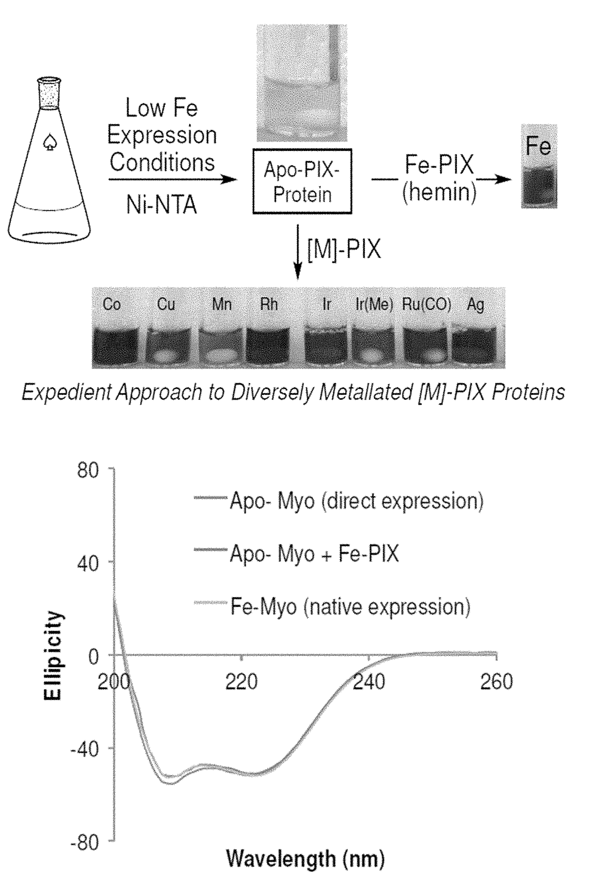 Artificial metalloenzymes containing noble metal-porphyrins