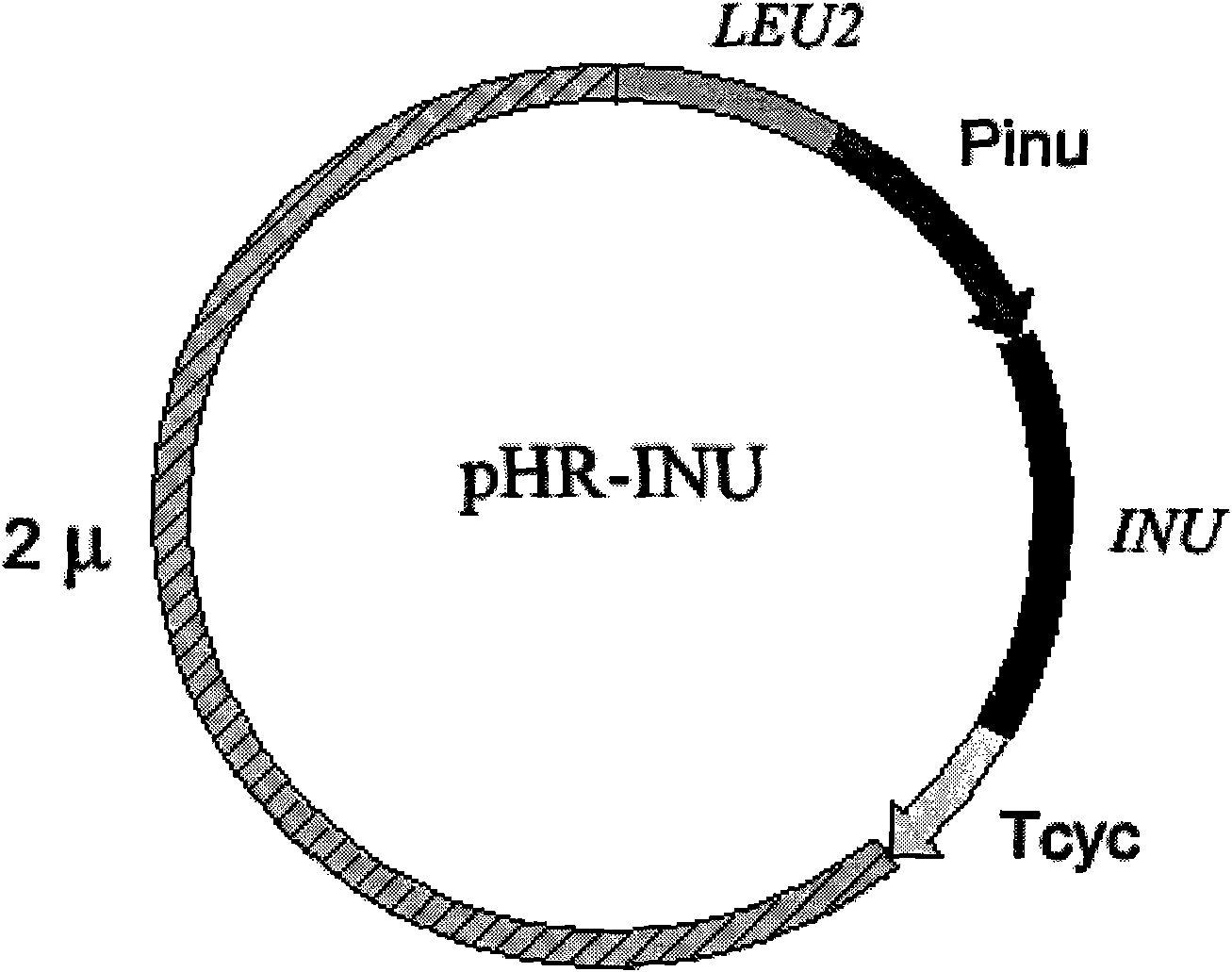 Method for preparing food grade Saccharomyces cerevisiae recombinant plasmid