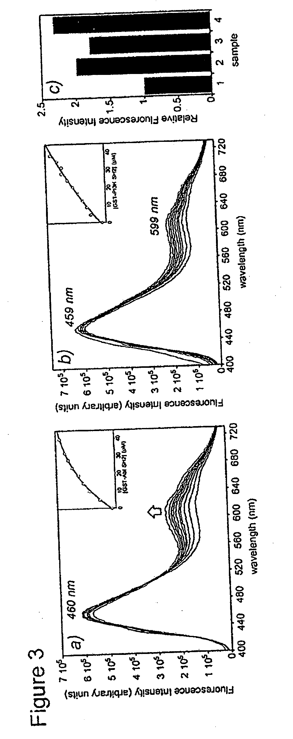 Fluorescent probes for biological studies