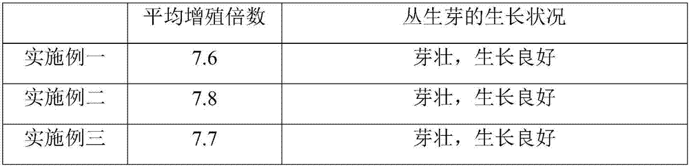 Strawberry subculture multiplication medium and application thereof