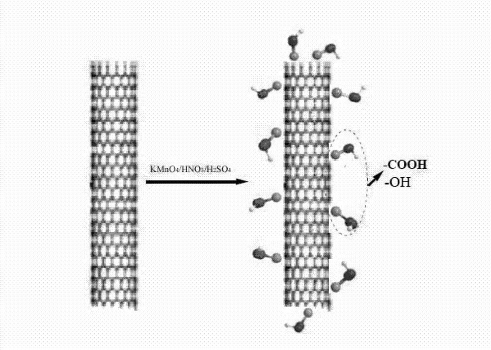 Preparation method of ultrafiltration membrane with enhanced antibacterial property by using modified carbon nanotubes