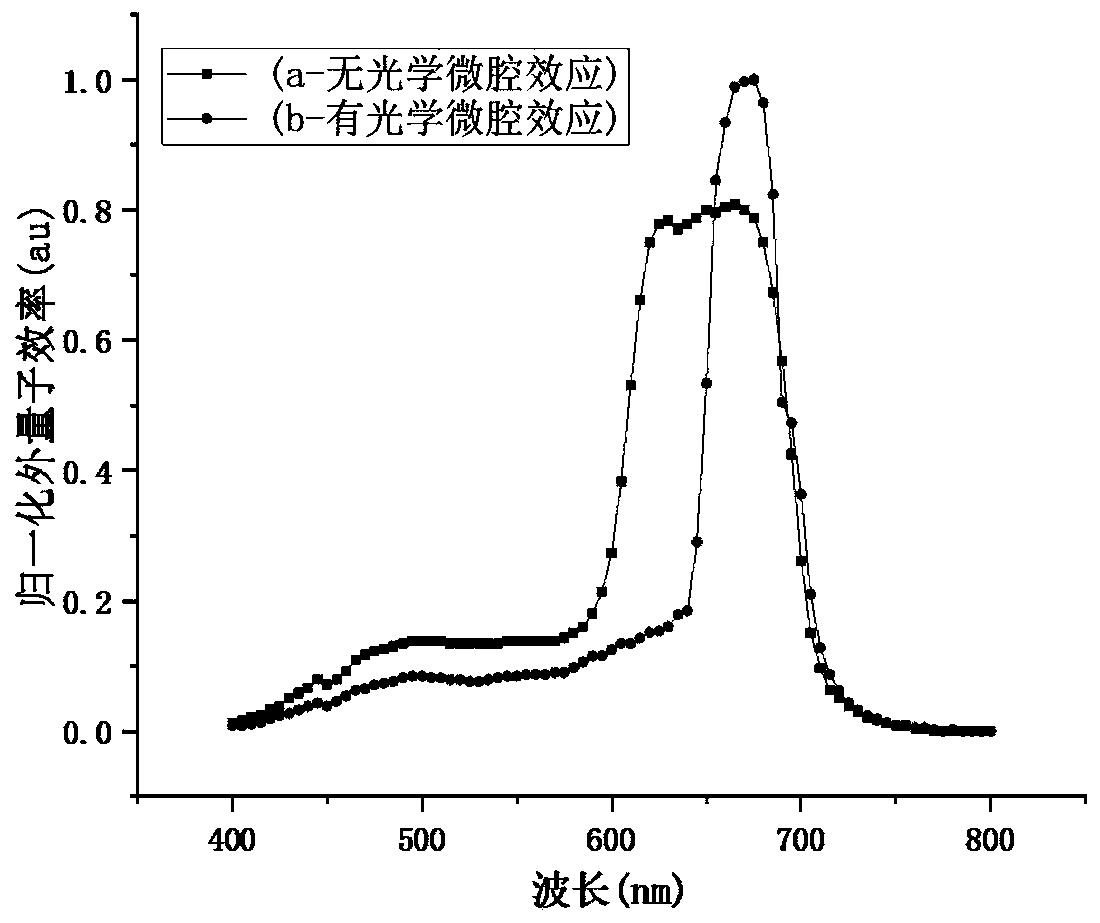 Perovskite photoelectric detector with optical micro cavity structure and preparation method thereof