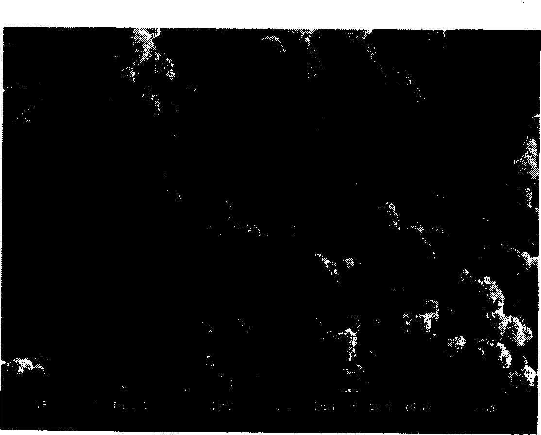 Chemically excited combustion process for synthesizing Si3N4/SiC composite powder