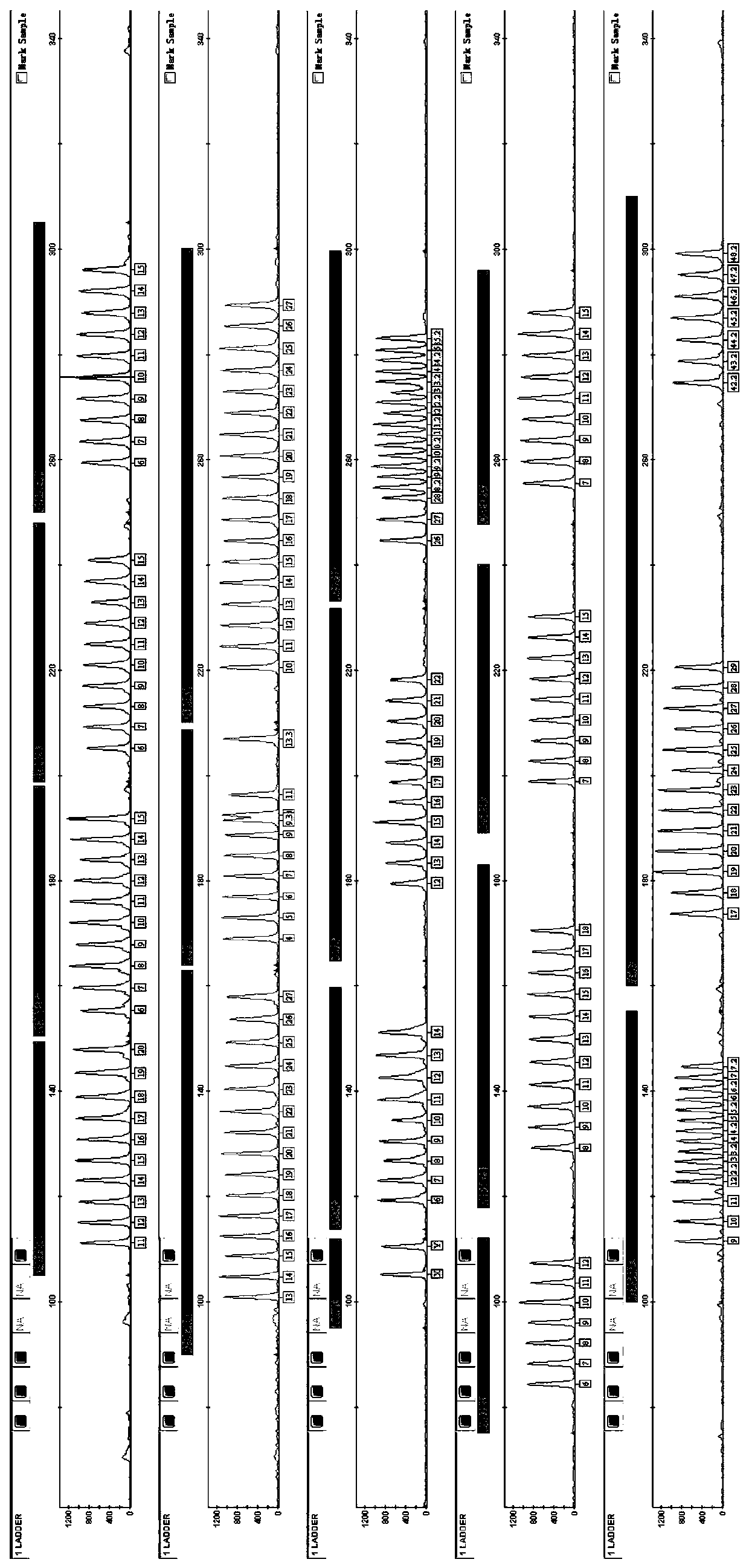 A kind of str kit and its application for trace and degraded samples